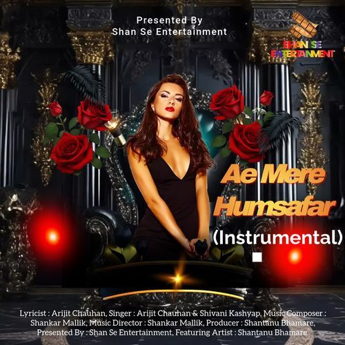 Ae Mere Humsafar (Instrumental)