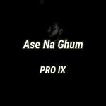 Ase Na Ghum artwork