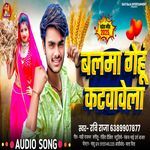 Balma Gehu Katwave La