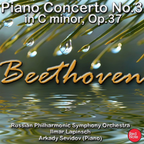 Piano Concerto No.3 in C Minor, Op.37: I. Allegro con brio