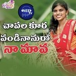 Chapalakura Vandinanuro Naa Mama