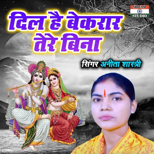 Dil Hai Bekrar Tere Bina