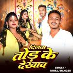 Dilwa Tod Ke Dekhau