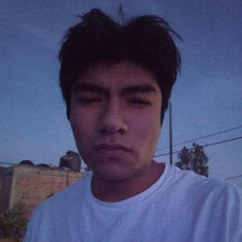 Armando cover art