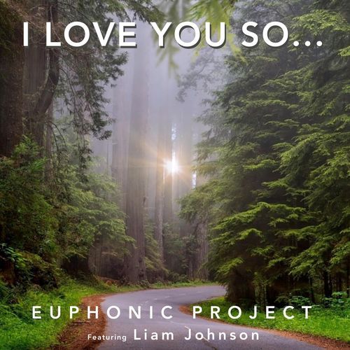 I Love You So... (Vocal / Strings) [feat. Liam Johnson] cover art