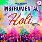 Instrumental Holi