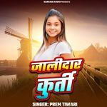 Jalidar Kurti (From "Jeans Kholbu Ki Na)