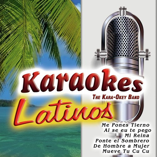 El Santo Cachón (Karaoke Version)