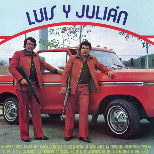 Golondrina Viajera cover art