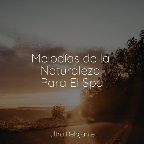 Melodías de la Naturaleza Para El Spa_poster_image