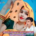 NICHE DUNGAR UPAR MEENA