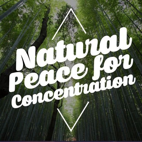 Natural Peace for Concentration_poster_image