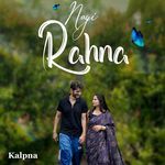 Ni Rehna Tere Bin artwork