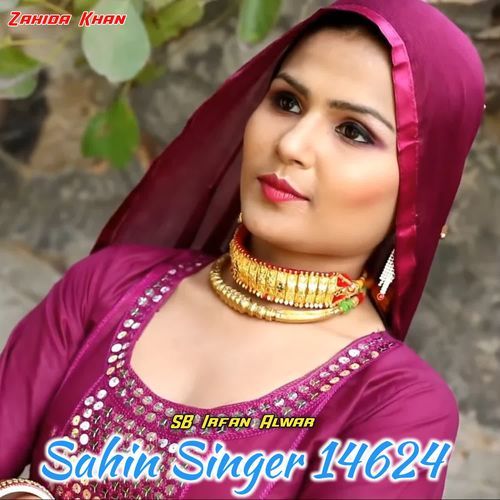 Sahin Singer 14624_poster_image