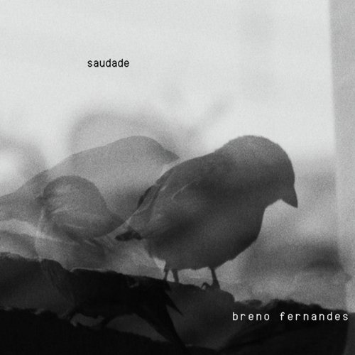 Breno Fernandes