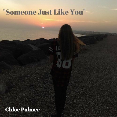 Someone Just Like You_poster_image