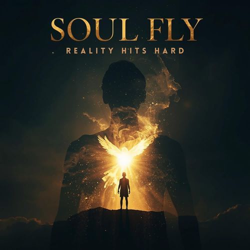 Soul Fly Reality Hits Hard