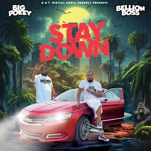 Stay Down_poster_image