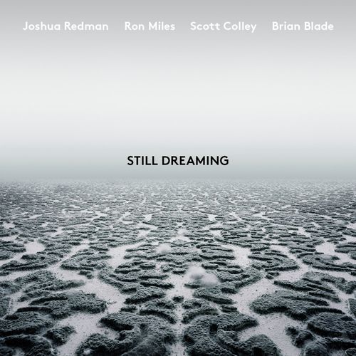 Blues for Charlie (feat. Ron Miles, Scott Colley & Brian Blade)