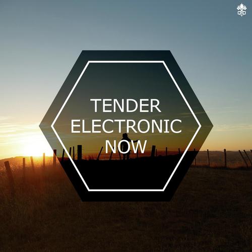 Tender Electronic Now