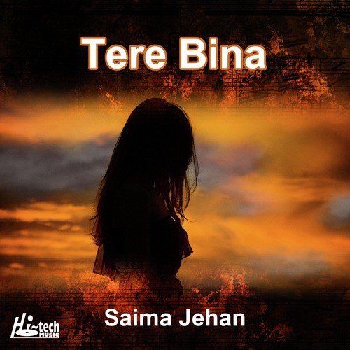 Tere Bina_poster_image