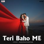 Teri Baho Me