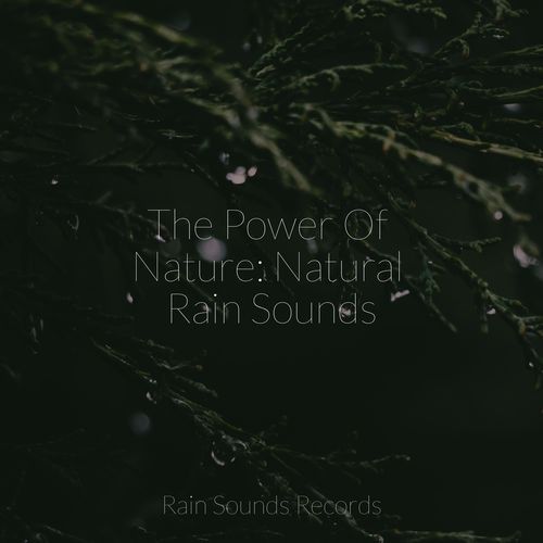 The Power Of Nature: Natural Rain Sounds