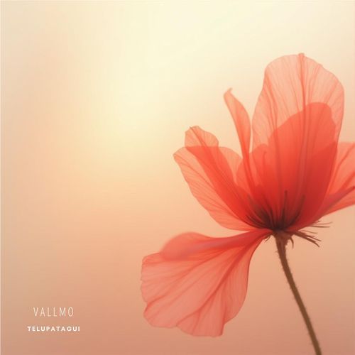 Vallmo cover art