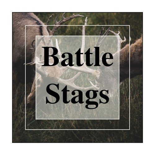 Staccato cover art