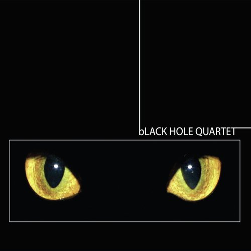 The Black Panther cover art