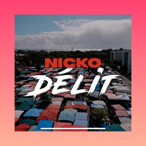 Délit cover art