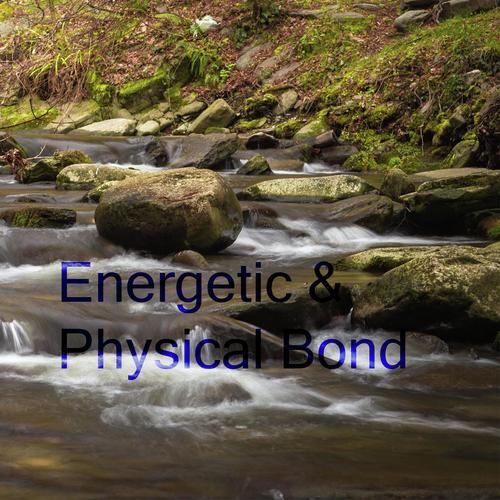 Energetic &amp; Physical Bond_poster_image