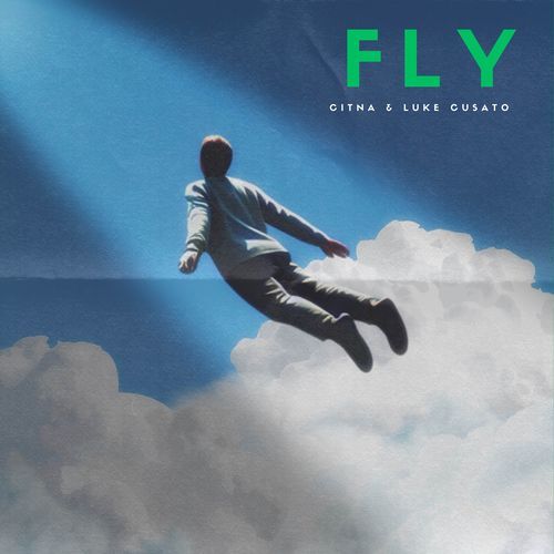 Fly_poster_image