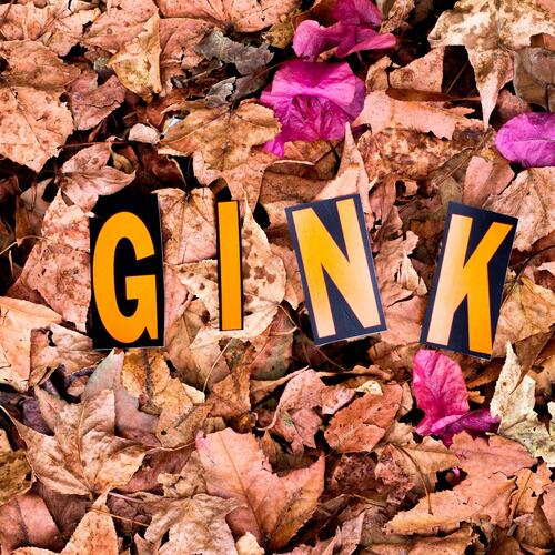 Gink_poster_image