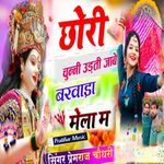 छोरी चुन्नी उड़ती जाबे बरवाडा मेला म