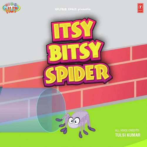 Itsy Bitsy Spider: albums, songs, playlists