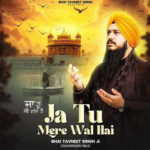 Ja Tu Mere Wal Hai