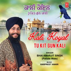 Kali Koyal Tu Kit Gun Kali-PV0,CBJHZ1c