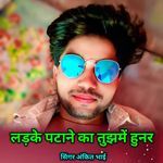 Ladki Patane Ka Tujhme Hunar