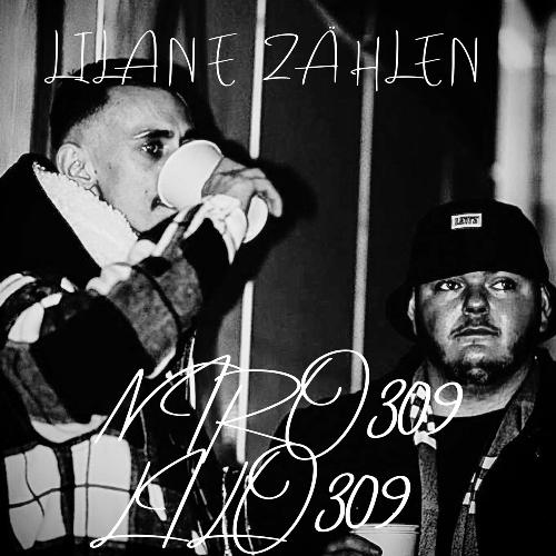 Lilane Zählen cover art