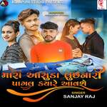 Mara Aasuda Luchhnari Pagal Kyare Aavse artwork