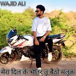 Mera Dil Ke Bhitar Tu Baitho Maluk