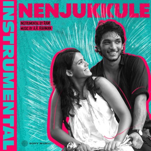 Nenjukkule (Instrumental)