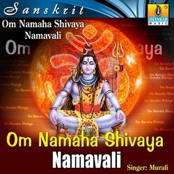 Om Namaha Shivaya Namavali-JzclSQ5DeVk