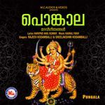 Chakkulathu Kaavilamme