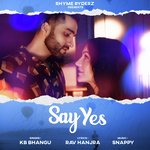 Say Yes