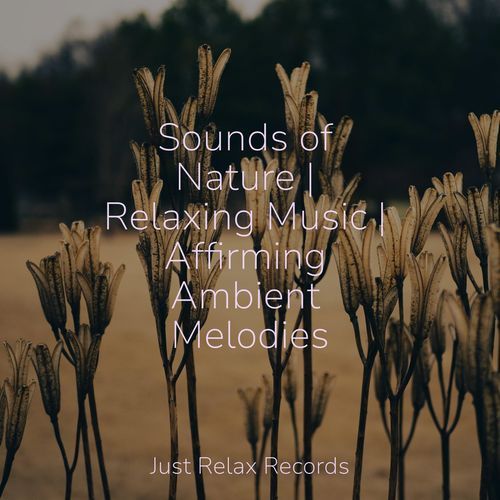 Sounds of Nature | Relaxing Music | Affirming Ambient Melodies_poster_image