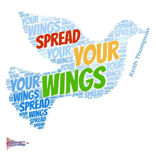 Spread Your Wings (Paolo Barbato Dub) cover art