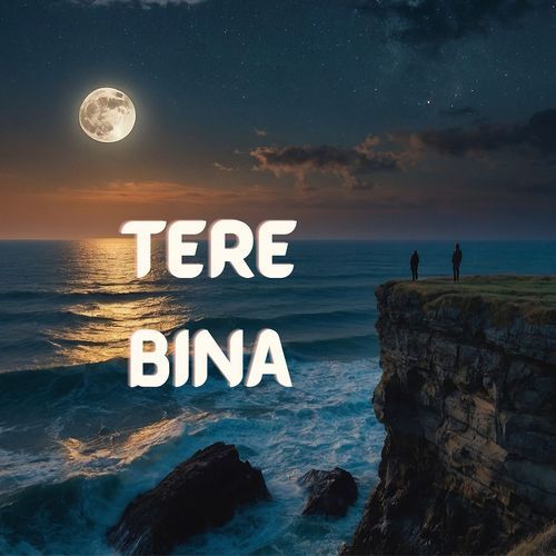 Tere Bina