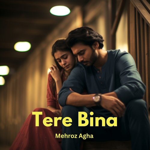 Tere Bina